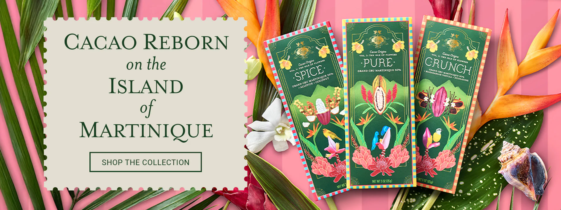 A Global Journey Through Cacao